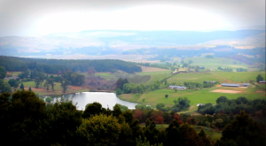 Screen Shot 2015-01-03 at 3.46.30 pm