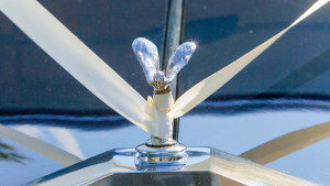 G42C7384.MOV.Still001